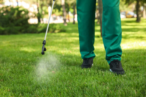 Best Pest Removal Services  in Sundown, TX