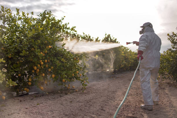 Best Exterminator Services  in Sundown, TX