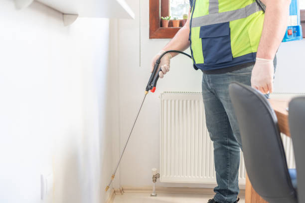 Best Flea Control Services  in Sundown, TX