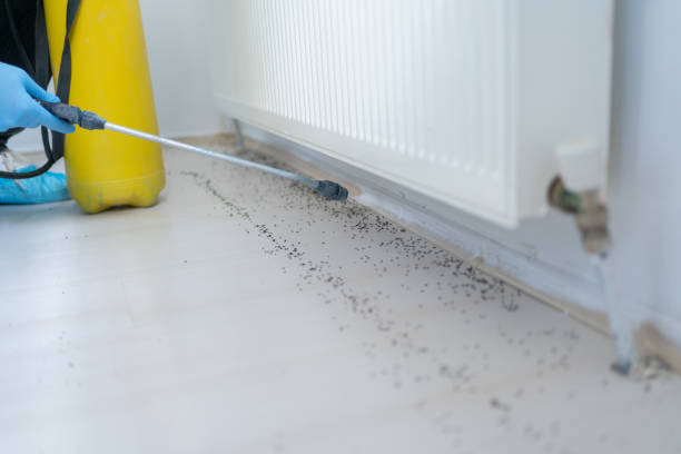 Best Pest Prevention Services  in Sundown, TX