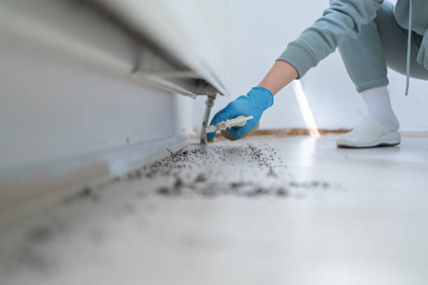 Best Emergency Pest Control  in Sundown, TX